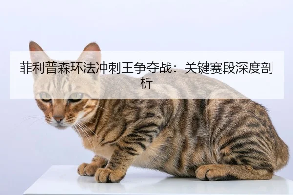 菲利普森环法冲刺王争夺战：关键赛段深度剖析